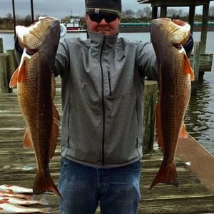 Meet your Posher, Wyatt